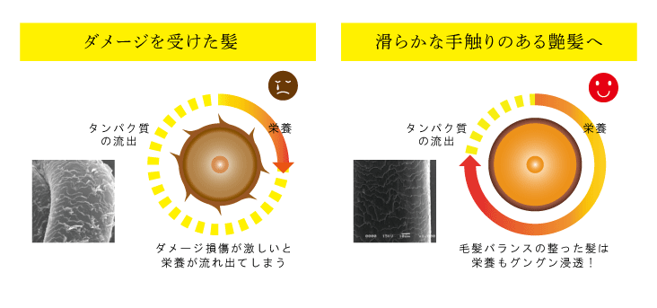 毛髪ケア成分をしっかり補給